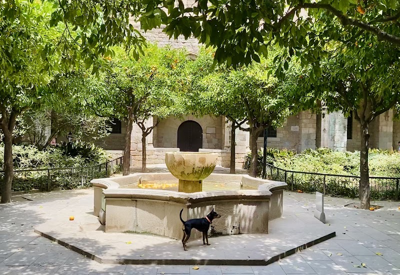 Biblioteca de Catalunya