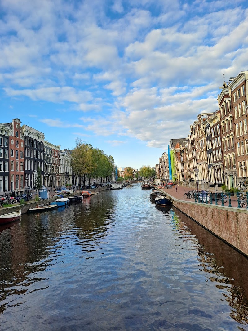 Singel University Library