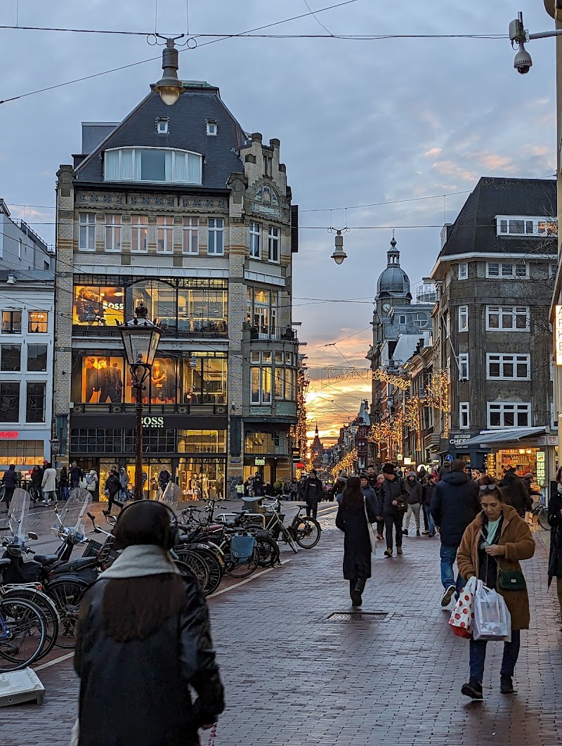 Singel University Library