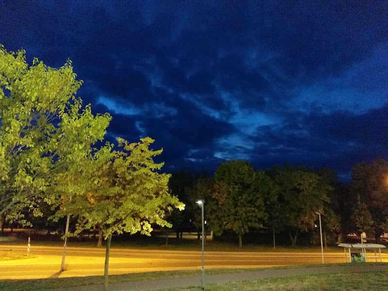 IKMZ BTU Cottbus-Senftenberg